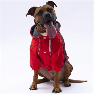 PawStar Kırmızı Dijon Büyük Irk Yağmurluk