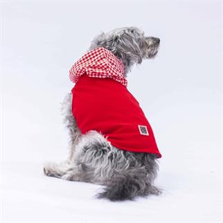 PawStar Kırmızı Gingham Kapşonlu Polo T-Shirt