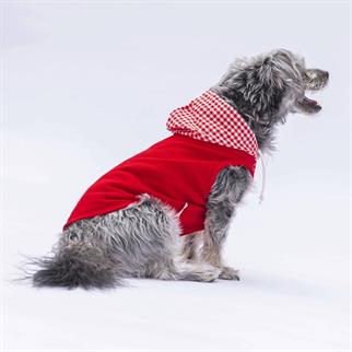 PawStar Kırmızı Gingham Kapşonlu Polo T-Shirt