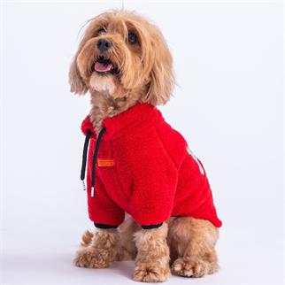 PawStar Kırmızı Just Be Cool Küçük ve Orta Irk Sweat