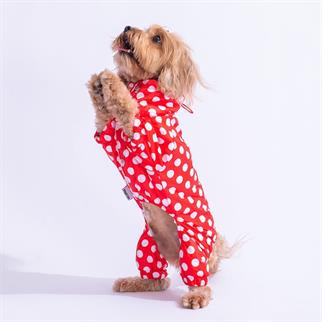 PawStar Kırmızı Puantiyeli Tulum Yağmurluk Küçük ve Orta Irk