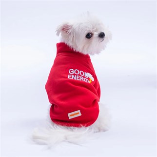 PawStar Kırmızı Seattle Storm Sweat