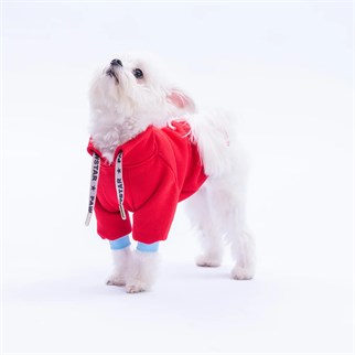 PawStar Kırmızı Seattle Storm Sweat