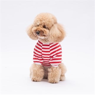 PawStar Kırmızı Winnie Küçük Irk Sweat