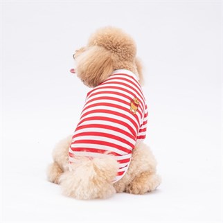 PawStar Kırmızı Winnie Küçük Irk Sweat