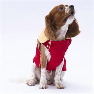 PawStar Kırmızı Yukon Kolsuz Yelek Küçük ve Orta Irk