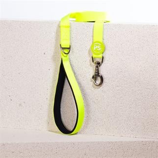 PawStar L01 Neon Sarı Sevk Kayışı