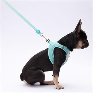 PawStar L09 Mint Sevk Kayışı