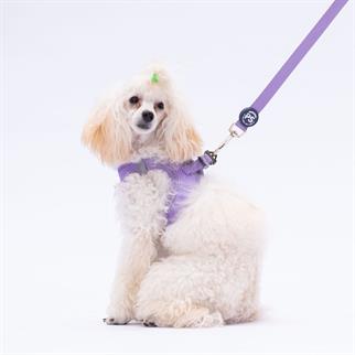 PawStar L10 Lila Sevk Kayışı
