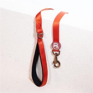 PawStar L11 Kiremit Sevk Kayışı