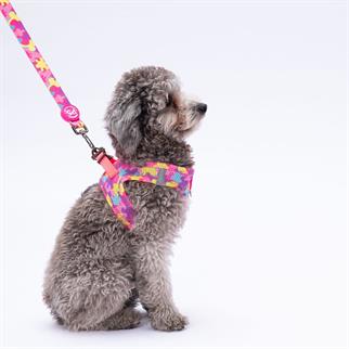 PawStar L18 Rosea Camouflage Sevk Kayışı