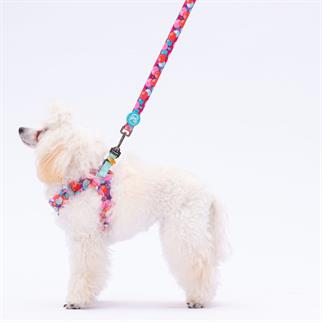 PawStar L20 Balloons Sevk Kayışı