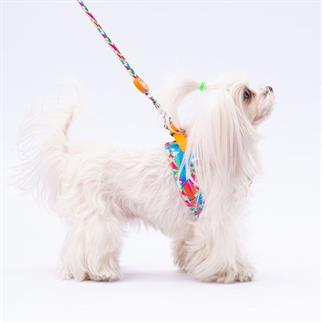 PawStar L26 Mosaic Sevk Kayışı
