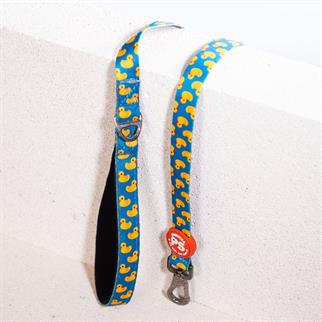 PawStar L28 Ducks Sevk Kayışı