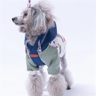 PawStar Lacivert Rio Hoodie Küçük ve Orta Irk