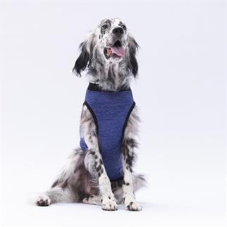 PawStar Lacivert Travel Büyük Irk T-Shirt