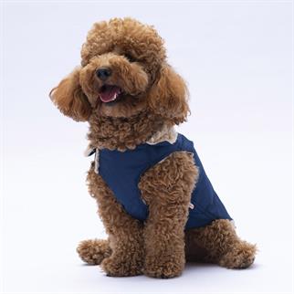 PawStar Lacivert Yukon Kolsuz Yelek Küçük ve Orta Irk