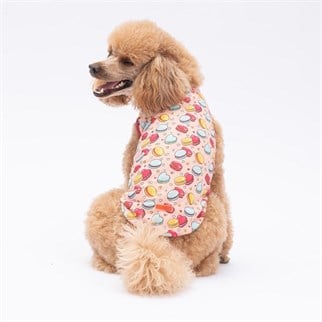 PawStar Macarons T-Shirt Küçük Irk