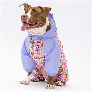 PawStar 24554 Marsala Büyük Irk Tulum Yağmurluk