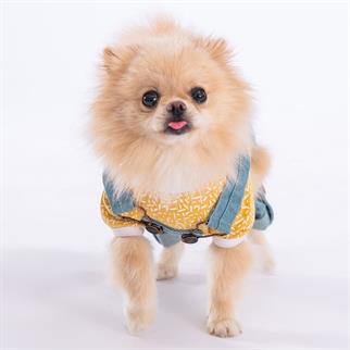 PawStar Mavi 2li Denim Salopet Küçük ve Orta Irk Tulum