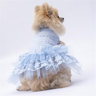 PawStar Mavi Flora Elbise