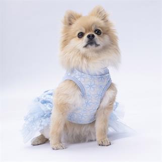 PawStar Mavi Flora Elbise