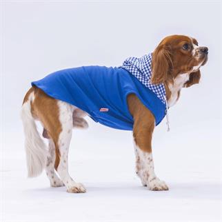 PawStar Mavi Gingham Kapşonlu Polo T-Shirt