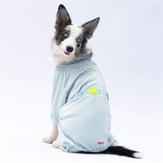 PawStar Mint Angers Büyük Irk Tulum