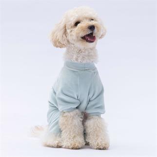 PawStar Mint Angers Tulum Küçük ve Orta Irk