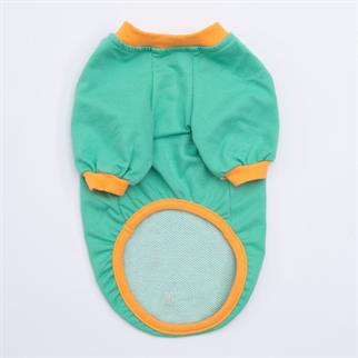PawStar Mint Bone Hunter Sweat Küçük ve Orta Irk