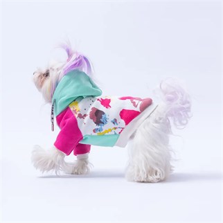 PawStar 25701 Mint Rio Hoodie Küçük ve Orta Irk