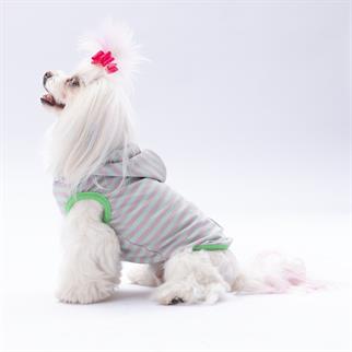 PawStar Mint Sunny Kapşonlu T-Shirt