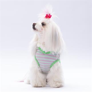 PawStar Mint Sunny Kapşonlu T-Shirt
