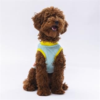 PawStar Mint Sunrise T-Shirt