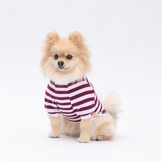 PawStar Mor Piglet Küçük Irk Sweat