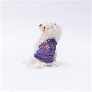 PawStar Mor Space Time T-Shirt Küçük Irk