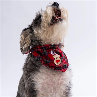 PawStar NYB Noel-Yılbaşı Bandana Seti 3 adet