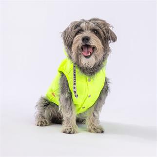 PawStar Neon Sarı Railway Küçük ve Orta Irk Yelek