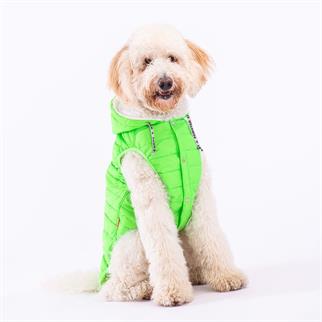 PawStar Neon Yeşil Railway Büyük Irk Yelek
