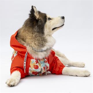 PawStar 24564 Ottawa Büyük Irk Yağmurluk