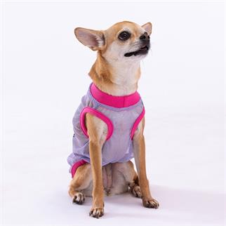 PawStar Our Flock Rocks Mesh T-Shirt