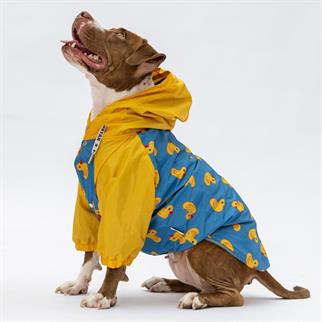 PawStar 24562 Pekin Büyük Irk Yağmurluk