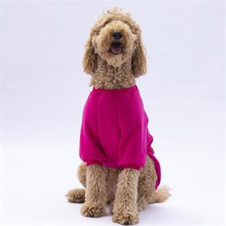 PawStar Pembe Carmel Büyük Irk Sweat