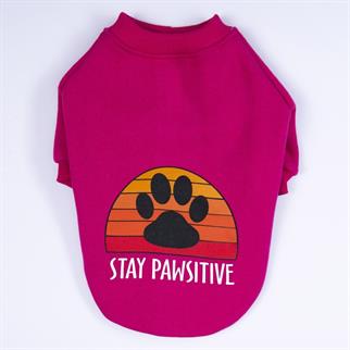 PawStar Pembe Carmel Büyük Irk Sweat