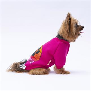 PawStar Pembe Carmel Sweat Küçük ve Orta Irk