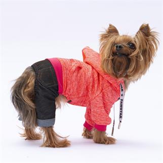 PawStar Pembe New York Tulum