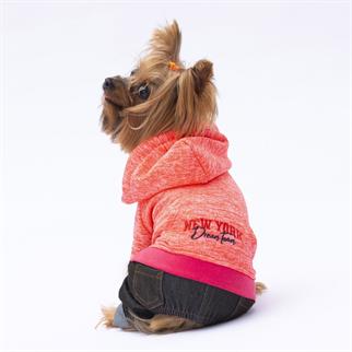 PawStar Pembe New York Tulum
