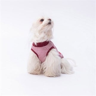 PawStar Pembe Space Time T-Shirt Küçük Irk