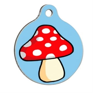 PawStar QR36 Mushroom Desenli Kedi Köpek İsimliği