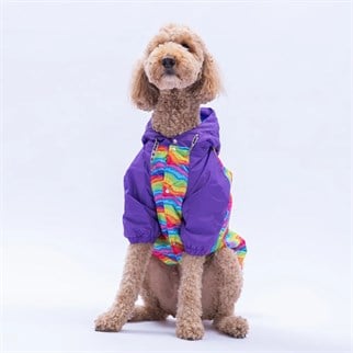 PawStar Rio Rainbow Büyük Irk Yağmurluk